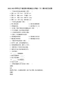 辽宁省沈阳市铁西区2022-2023学年七年级下学期期末考试语文试题（含答案）