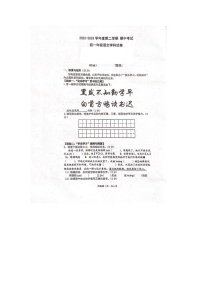 海南省陵水县中央民族大学附属中学海南陵水分校2022-2023学年七年级下学期5月期中语文试题