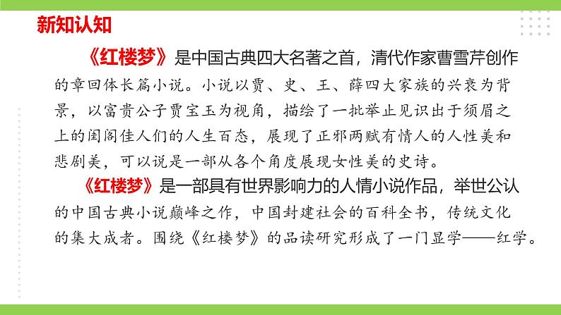 【核心素养】部编版初中语文九年级上册25《刘姥姥进大观园》 课件+教案+导学案（师生版）+同步测试（含答案）06