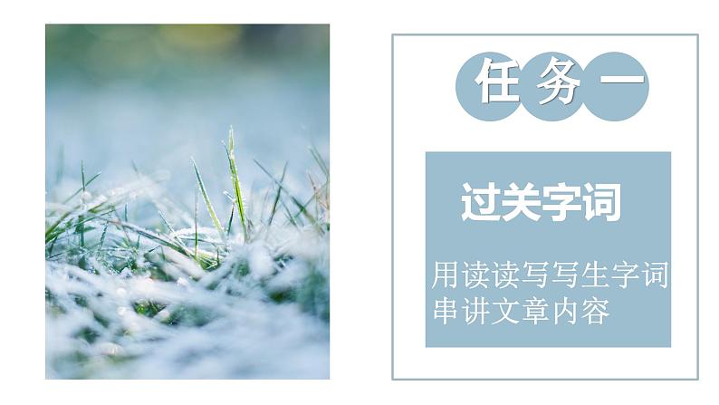 第2课《济南的冬天》课件06