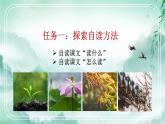 第3课 雨的四季课件