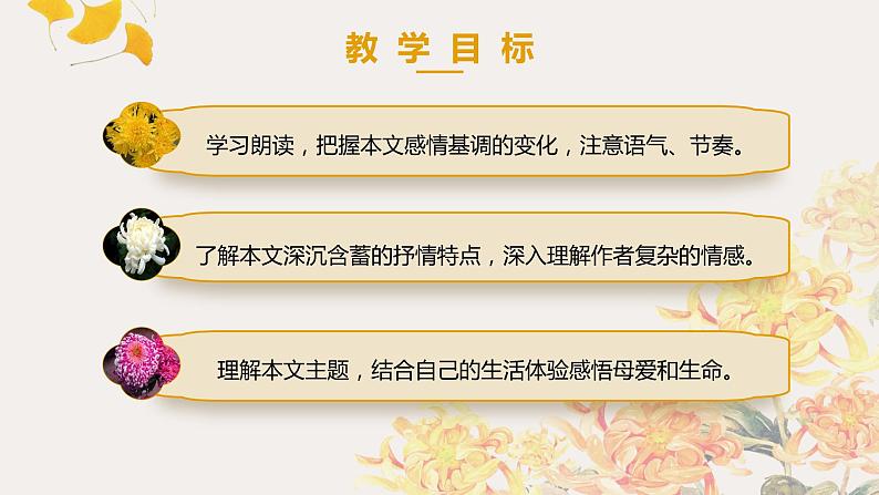 第5课《秋天的怀念》课件PPT02