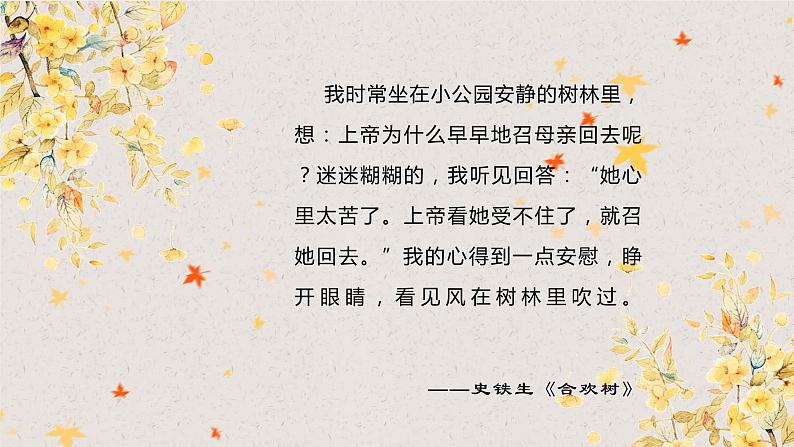 第5课《秋天的怀念》课件PPT03