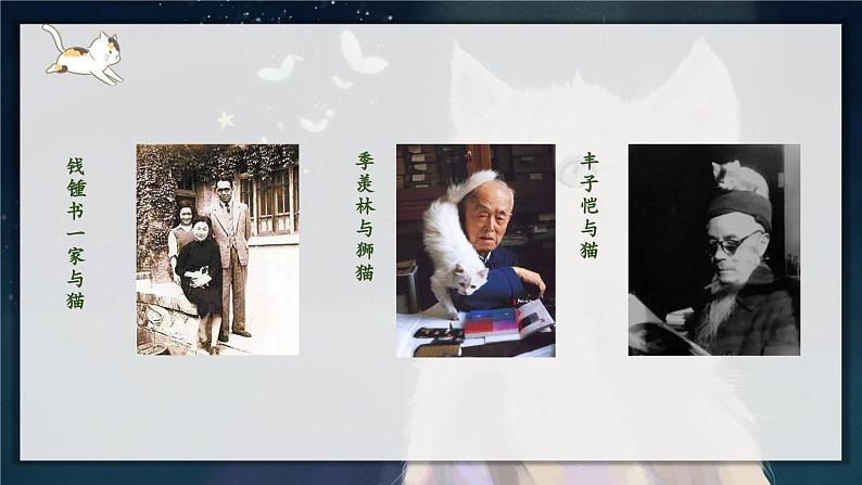 第16课《猫》课件第2页