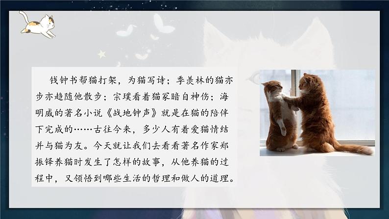 第16课《猫》课件第3页