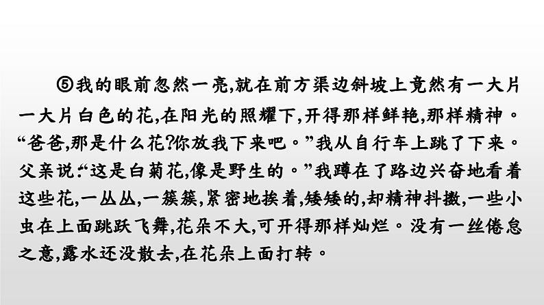 七年级语文下册第5单元 人生感悟课件PPT07