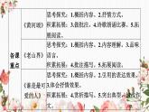 七年级语文下册第二单元复习课件PPT