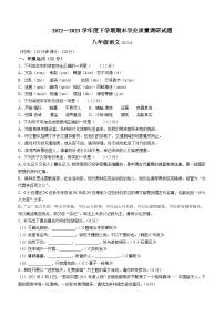 山东省临沂市罗庄区2022-2023学年八年级下学期期末语文试题（含答案）
