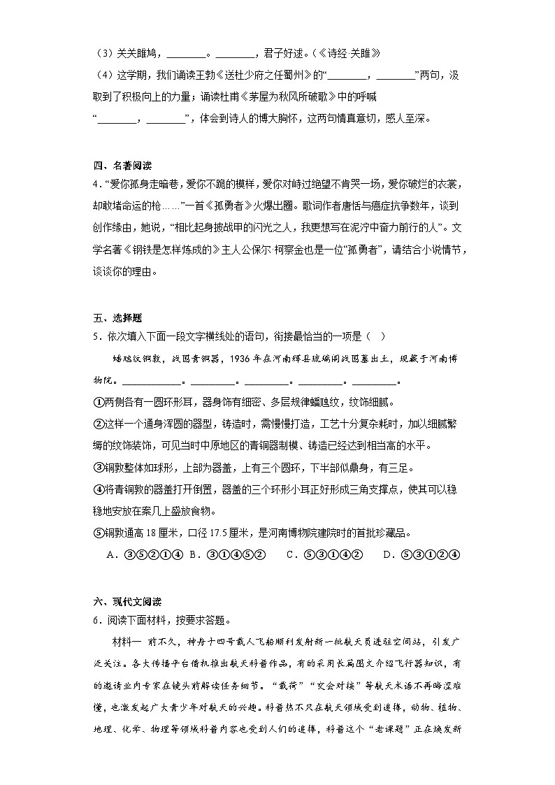 河南省驻马店市泌阳县2022-2023学年八年级下学期期末语文试题（含答案）第2页