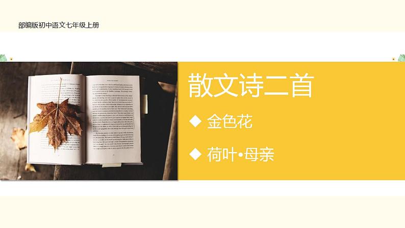 第7课 散文诗二首课件PPT01