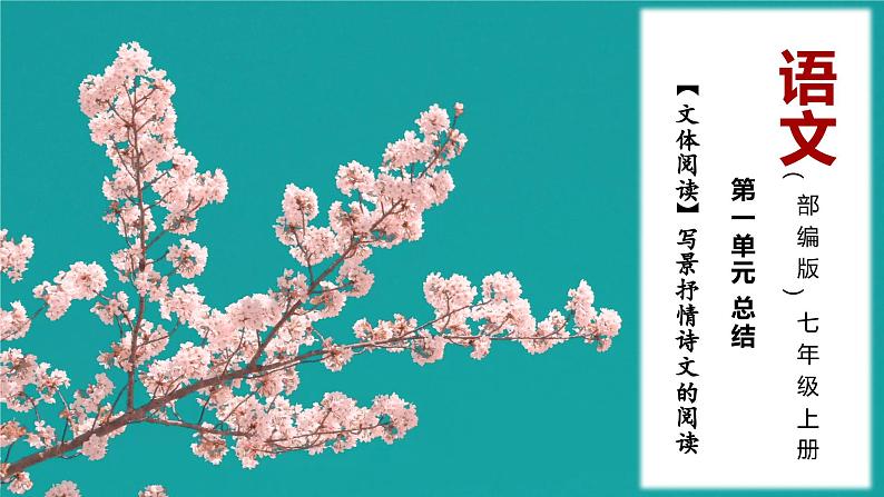 写景抒情诗文的阅读（统编版）课件PPT01