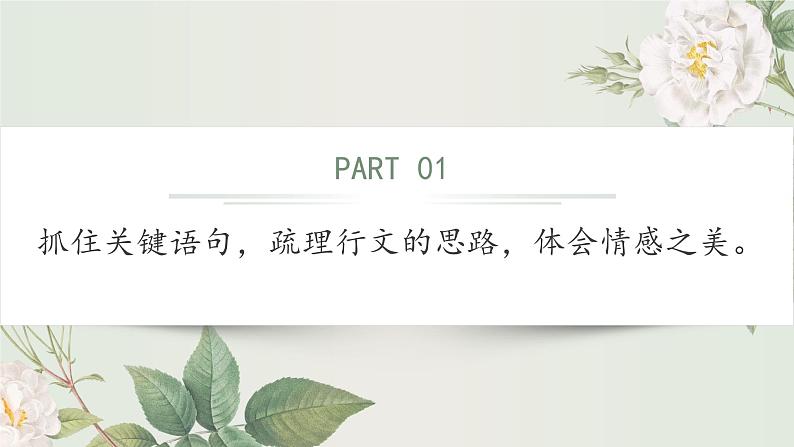 写景抒情诗文的阅读（统编版）课件PPT06