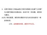 八年级语文上册三单元综合训练课件PPT
