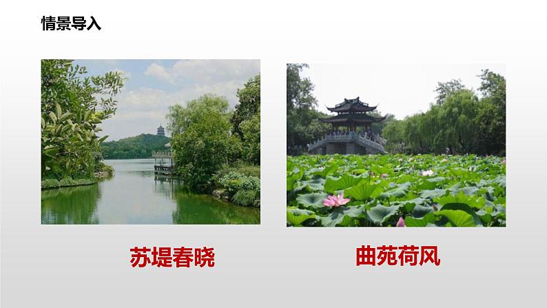 第13课《唐诗五首——钱塘湖春行》课件2022—2023学年统编版语文八年级上册01