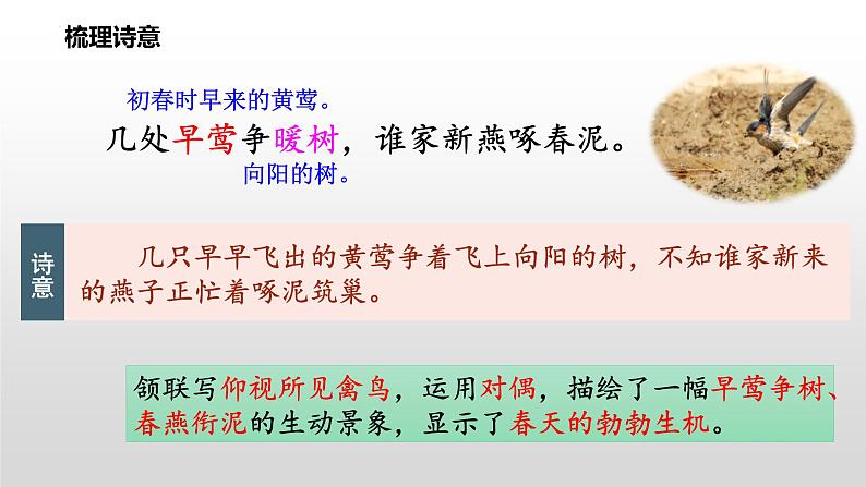 第13课《唐诗五首——钱塘湖春行》课件2022—2023学年统编版语文八年级上册08