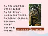 部编九年级语文下册第一单元1祖国啊我亲爱的祖国第2课时课件