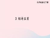 部编九年级语文下册第一单元3短诗五首考点精讲课件