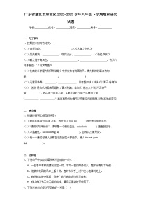 广东省湛江市麻章区2022-2023学年八年级下学期期末语文试题（含答案）