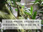2023九年级语文下册第二单元6变色龙考点精讲课件新人教版