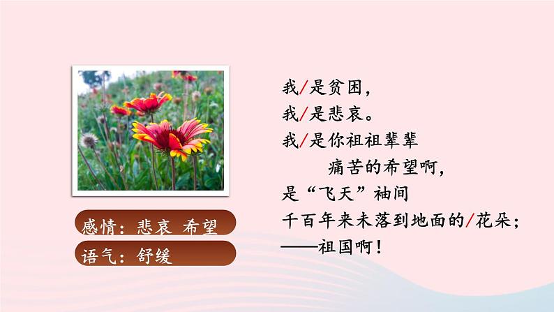 2023九年级语文下册第一单元1祖国啊我亲爱的祖国第2课时课件新人教版05