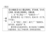 人教版初中语文八年级下册第一单元3安塞腰鼓课件