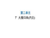 人教版初中语文八年级下册第二单元7大雁归来课件