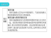 人教版初中语文八年级下册第三单元10小石潭记课件