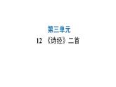 人教版初中语文八年级下册第三单元12《诗经》二首课件