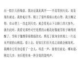 人教版初中語(yǔ)文八年級(jí)下冊(cè)專(zhuān)題十文學(xué)類(lèi)文本閱讀課件