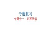 人教版初中语文八年级下册专题十一名著阅读课件
