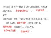 人教版初中语文八年级下册周末作业(十三)——过关训练四周末作业（十四）课件