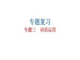 人教版初中语文八年级下册专题三词语运用课件
