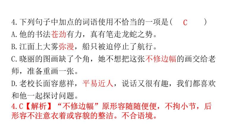 人教版初中语文八年级下册专题三词语运用课件08