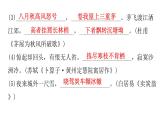 人教版初中语文八年级下册过关训练五课件