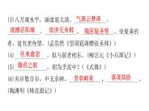 人教版初中语文八年级下册过关训练三课件