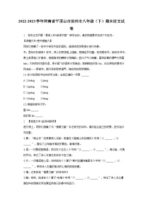 2022-2023学年河南省平顶山市汝州市八年级（下）期末语文试卷（含解析）