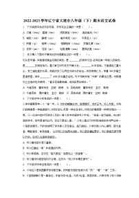 2022-2023学年辽宁省大连市八年级（下）期末语文试卷（含解析）