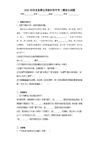 2023年河北省唐山市滦州市中考二模语文试题（含解析）