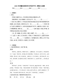 2023年安徽省阜阳市太和县中考二模语文试题（含解析）
