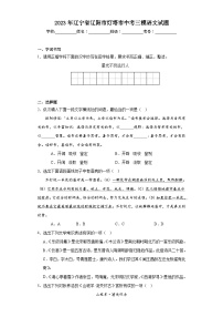 2023年辽宁省辽阳市灯塔市中考三模语文试题（含解析）