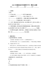 2023年安徽省宿州市埇桥区中考一模语文试题（含解析）