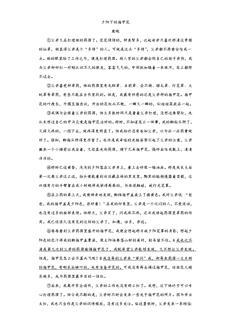 浙江省绍兴市新昌县2022-2023学年七年级下学期期末语文试题03