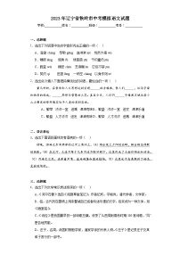 2023年辽宁省铁岭市中考模拟语文试题（含解析）