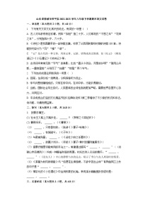 山东省聊城市茌平县2022-2023学年八年级下学期期末语文试卷（解析版）