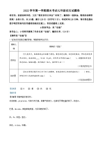 浙江省金华市金东区2022-2023学年七年级上学期期末语文试题（解析版）