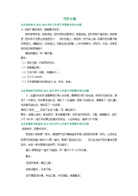 山东省部分地区2022-2023学年下学期七年级语文期末试卷汇编：写作专题