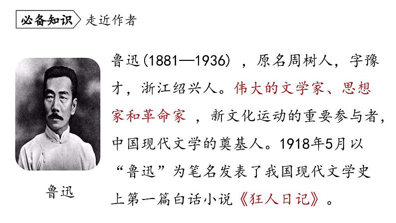 部编版七年级语文上册--第3单元 9《从百草园到三味书屋》（精品课件）06