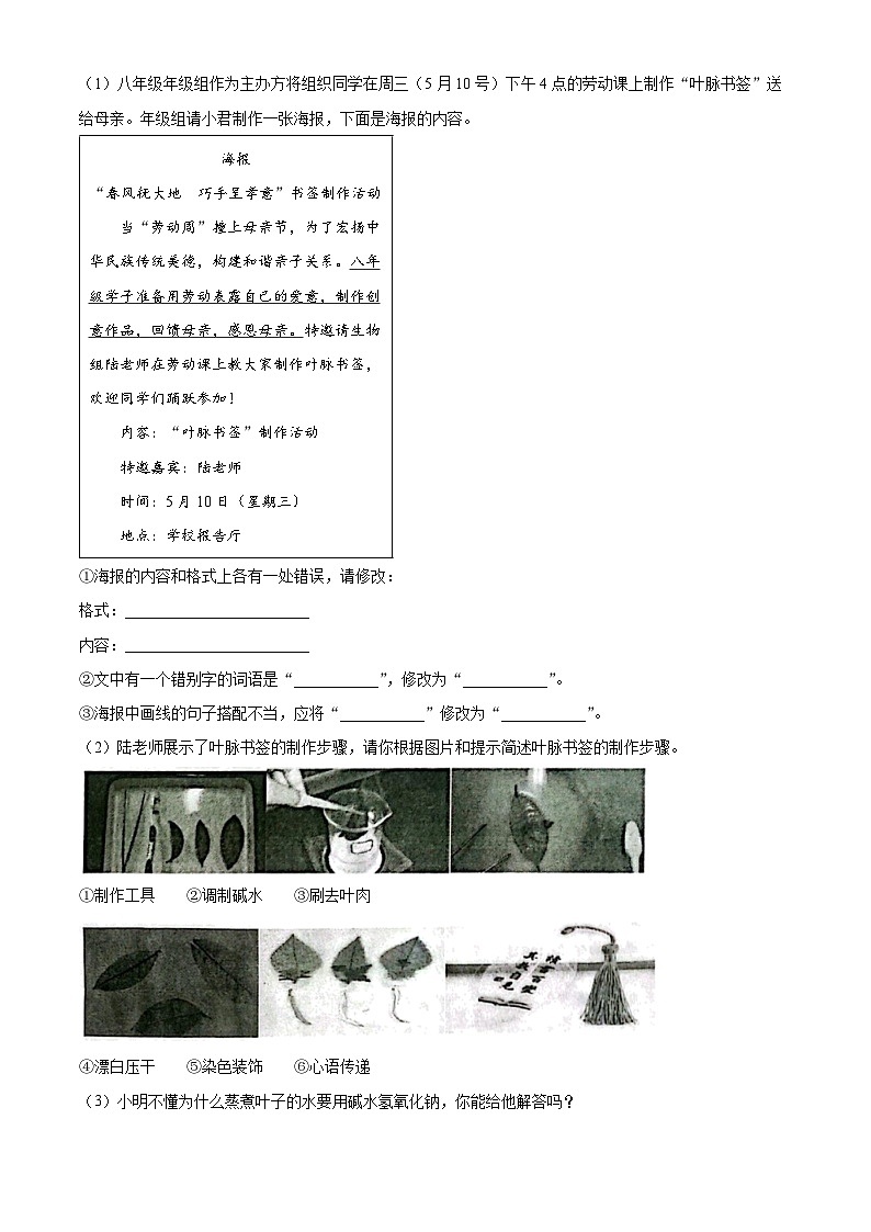 精品解析：2023年安徽省合肥市第四十五中学中考四模语文试题（解析版）第3页