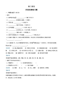精品解析：山东省烟台市芝罘区（五四制）2022-2023学年八年级上学期期末语文试题（解析版）