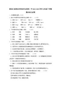 黑龙江省绥化市安达市吉星岗镇第一中学2022-2023学年七年级下学期期末语文试题（含答案）